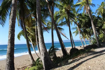 a beach with palm trees and the ocean at Ocean View Echemare Tango Mar in Tambor