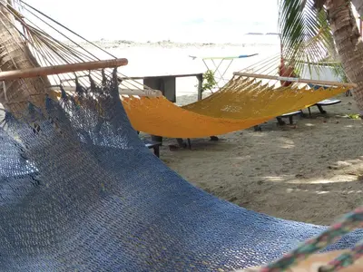 a hammock on a beach with the ocean in the background at Hotel La Palapa in Tamarindo