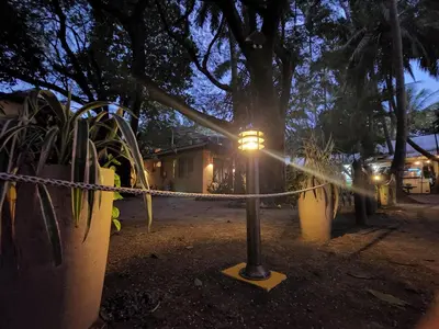 a light on a pole in a yard at night at Hotel La Palapa in Tamarindo