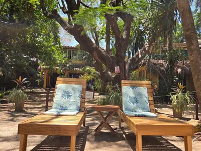 two wooden benches with pillows sitting in front of a tree at Hotel La Palapa in Tamarindo