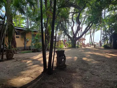 a group of palm trees in front of a house at Hotel La Palapa in Tamarindo
