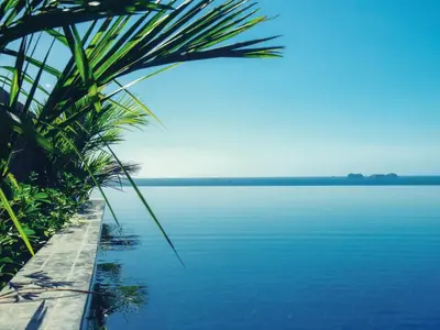 a view of a body of water with a palm tree at Casa Chameleon Hotel Las Catalinas - Adults Only in Playa Flamingo