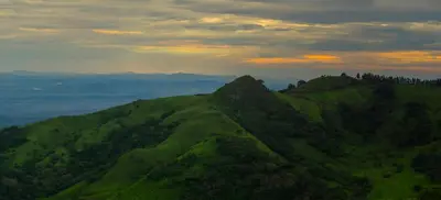 a green hill with trees on top of it at Hotel Trópico Monteverde in Monteverde Costa Rica