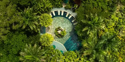 an aerial view of a roller coaster in the jungle at Paradise Hot Springs - Thermal Water & Volcano Views in Fortuna