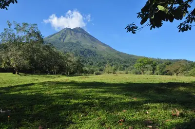 a mountain in the distance with a field and trees at Paradise Hot Springs - Thermal Water & Volcano Views in Fortuna