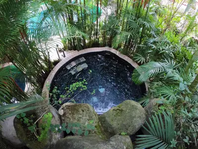 a small pond in a garden with plants at Paradise Hot Springs - Thermal Water & Volcano Views in Fortuna