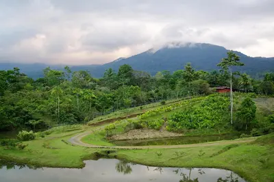 a winding road with a mountain in the background at La Anita Rain Forest in Colonia Dos Ríos
