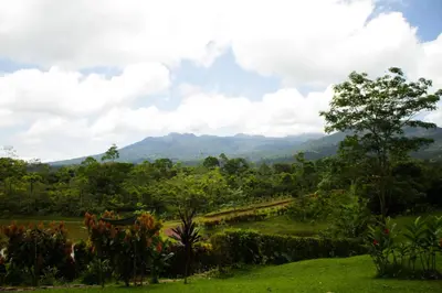 a view of a field with mountains in the background at La Anita Rain Forest in Colonia Dos Ríos