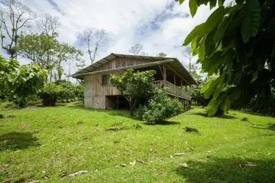 a small wooden house in a field of grass at Finca Amistad Cacao Lodge in Bijagua