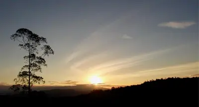 a silhouette of a tree in front of a sunset at Reventazon River Mountain Ranch in Turrialba
