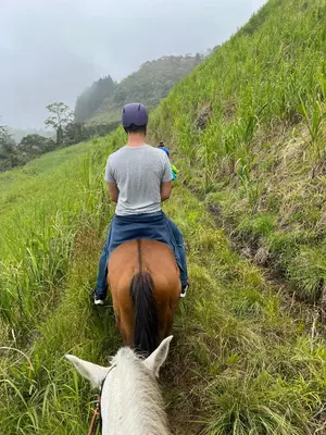 a man riding a horse down a grassy hill at Reventazon River Mountain Ranch in Turrialba
