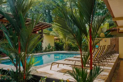 a swimming pool with lounge chairs and palm trees at Tropical Beach in Uvita