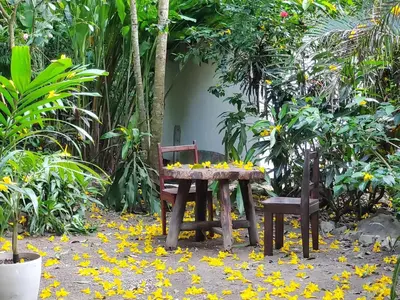 a table and two chairs with yellow flowers on the ground at Colibri Apartments - Private kitchen & bathroom - 4 min walk to the Beach! in Santa Teresa Beach