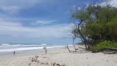 a group of people walking on a beach at Colibri Apartments - Private kitchen & bathroom - 4 min walk to the Beach! in Santa Teresa Beach