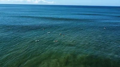 a group of people swimming in the water at Colibri Apartments - Private kitchen & bathroom - 4 min walk to the Beach! in Santa Teresa Beach