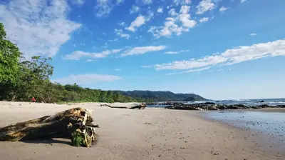 a log laying on a beach with the ocean at Colibri Apartments - Private kitchen & bathroom - 4 min walk to the Beach! in Santa Teresa Beach