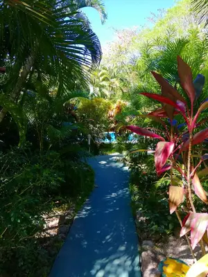 a path through a tropical garden with palm trees at Villas Verdes in Sámara
