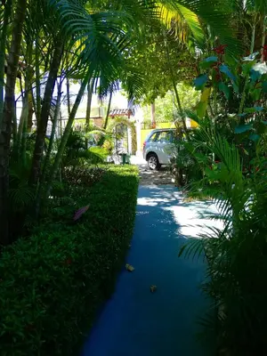a car parked on a street with palm trees at Villas Verdes in Sámara