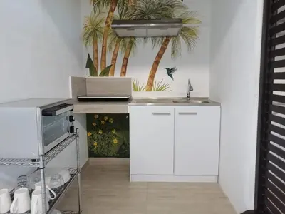 a kitchen with a sink and a laptop on a counter at Las Perlitas Rentals Playa Samara in Sámara