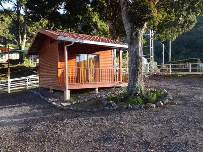 a small cabin with a tree in front of it at Cabañas San Gerardo in San Gerardo de Dota
