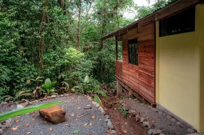 a building in the middle of a forest at La Tigra Rainforest Lodge in Fortuna