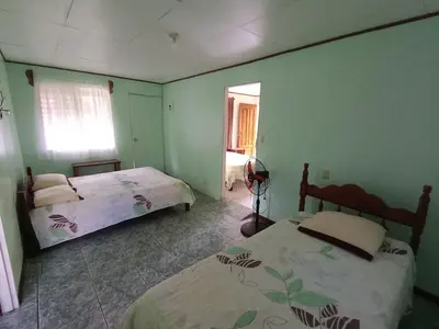 two beds in a room with green walls at Posada Rural Río Celeste in Rio Celeste