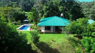 a house with a green roof and a swimming pool at Toucan Escape in Ojochal