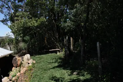 a yard with a fence and some trees and grass at Greemount Hotel in Monteverde Costa Rica