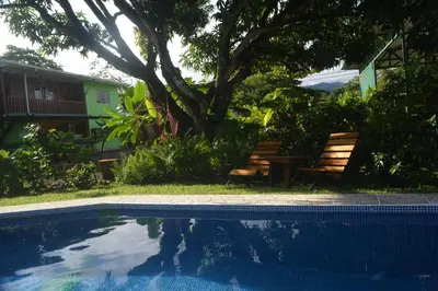 a swimming pool with two benches and a tree at Dolce Uvita in Bahia