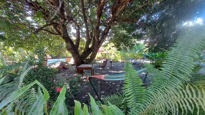 a park with a tree and a bench and plants at Dolce Uvita in Bahia