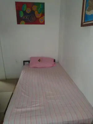 a bed in a room with a pink blanket on it at Hostel Paco House in Monteverde Costa Rica
