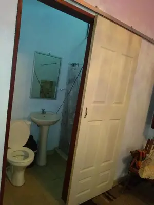 a bathroom with a toilet and a sink at Hostel Paco House in Monteverde Costa Rica