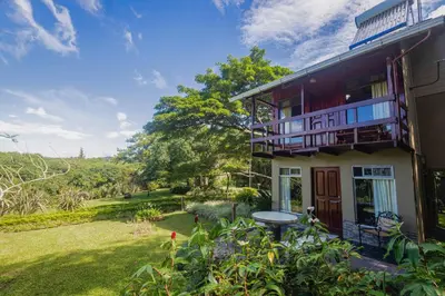 an exterior view of a house with a yard at Cabañas Valle Campanas - Monteverde, Costa Rica in Monteverde Costa Rica