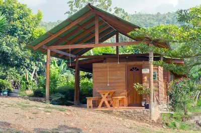 Gallery image of Ecolodge Rain in Pedregoso