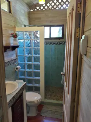 a bathroom with a shower with a toilet and a sink at Ocean Melody 2 in Uvita