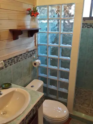 a bathroom with a toilet and a sink and a shower at Ocean Melody 2 in Uvita