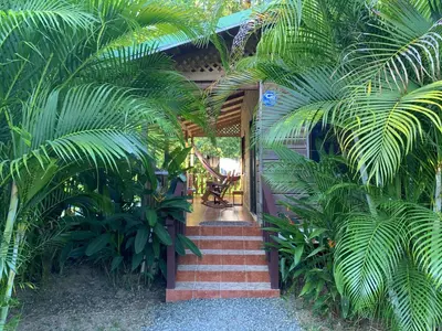 a staircase leading to a house with palm trees at Ocean Melody 2 in Uvita