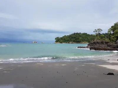 a beach with the ocean and trees in the background at Yellow House in Quepos