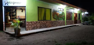a green building with a potted plant in front of it at Hostel Tortuguero 7BackPackers in Tortuguero