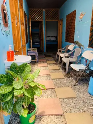 a tiled floor with a plant in a room at Hostel Tortuguero 7BackPackers in Tortuguero