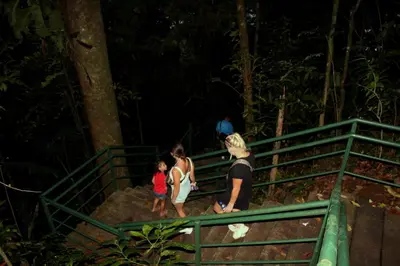 a group of people standing on a bridge in the jungle at Hostel Tortuguero 7BackPackers in Tortuguero