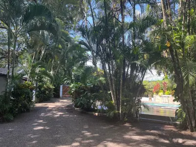 a garden with palm trees and a swimming pool at Villas Majolana in Herradura