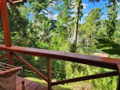 a balcony with a view of a forest of trees at Boca Tapada Lodge in Boca Tapada