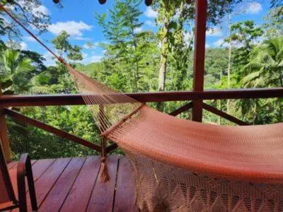 a hammock on a porch with a view of the forest at Boca Tapada Lodge in Boca Tapada