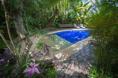 a swimming pool in the middle of a garden at Villas Oasis in Manuel Antonio