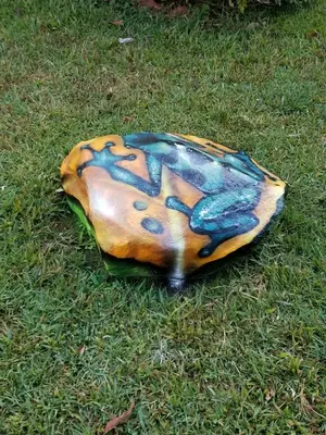 a painted rock sitting on the grass at La Terraza Guest House B&B in Grecia