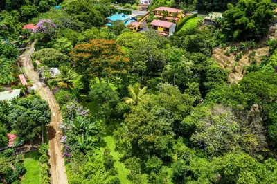 an aerial view of a forest of trees and a house at La Terraza Guest House B&B in Grecia