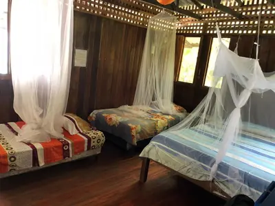 a bedroom with two beds with mosquito nets at Luminosa Montezuma Hostel in Montezuma