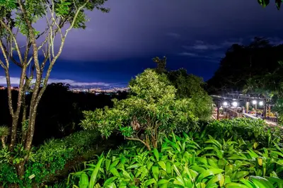 a view of the city from the forest at night at Finca Rosa Blanca Coffee Farm and Inn in Heredia