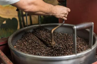 a person is stirring a container of coffee beans at Finca Rosa Blanca Coffee Farm and Inn in Heredia